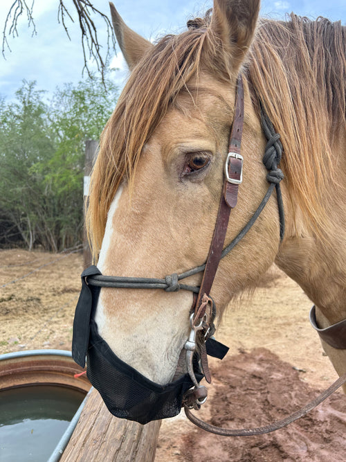 Half Hitch Trail Guard™ – Anti-Graze Horse Muzzle